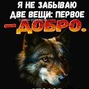  Vladimir, , 51  -  1  2025