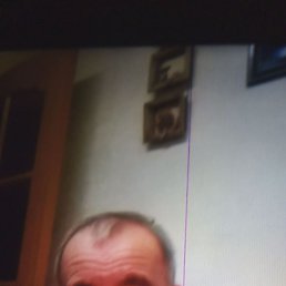 ��������, 57 ���, ������