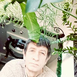 Boris, 56 ���, ������