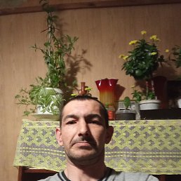 ���� �����, ������, 41 ��� - ��������� 20 ������� 2026