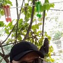 ���� ����, ���������, 52 ���� - ��������� 19 ����� 2026