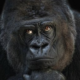 ���� Sam, �����, 47 ��� - ��������� 10 ������� 2024