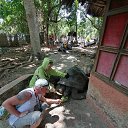 ���� �������, ��������, 60 ��� - ��������� 16 ������ 2024 � ������ ���� ����������