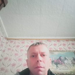 , 45 , 