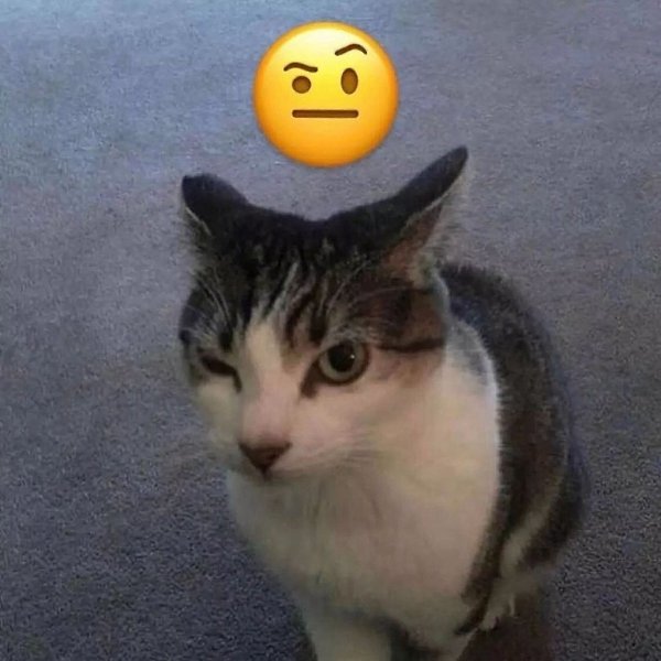 ����� ����� ������� ��? - 2