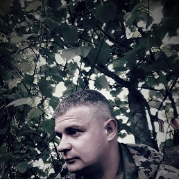 �������, 41 ���, ����