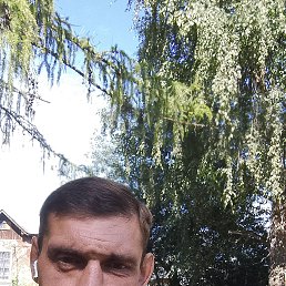 , 39, 