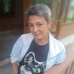 ����, ������, 50 ���