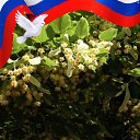 ���� ������, ����, 45 ��� - ��������� 10 ������� 2024 � ������ ���� ����������