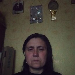 , 48, 