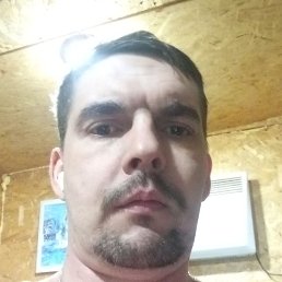 ����� ������, �����������, 41 ���