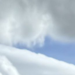 �����, ����������, 41 ���