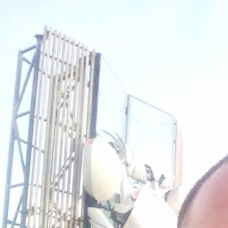 �������, ���������, 37 ���