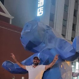 ������, ������, 41 ���