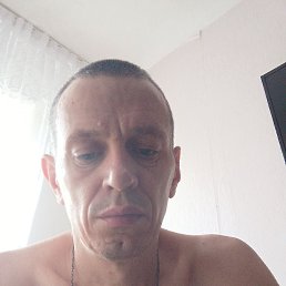 , 44 , 