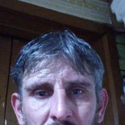 , 43 , 