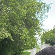 ����, 38 ���, ����������