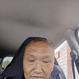 , 51 , 