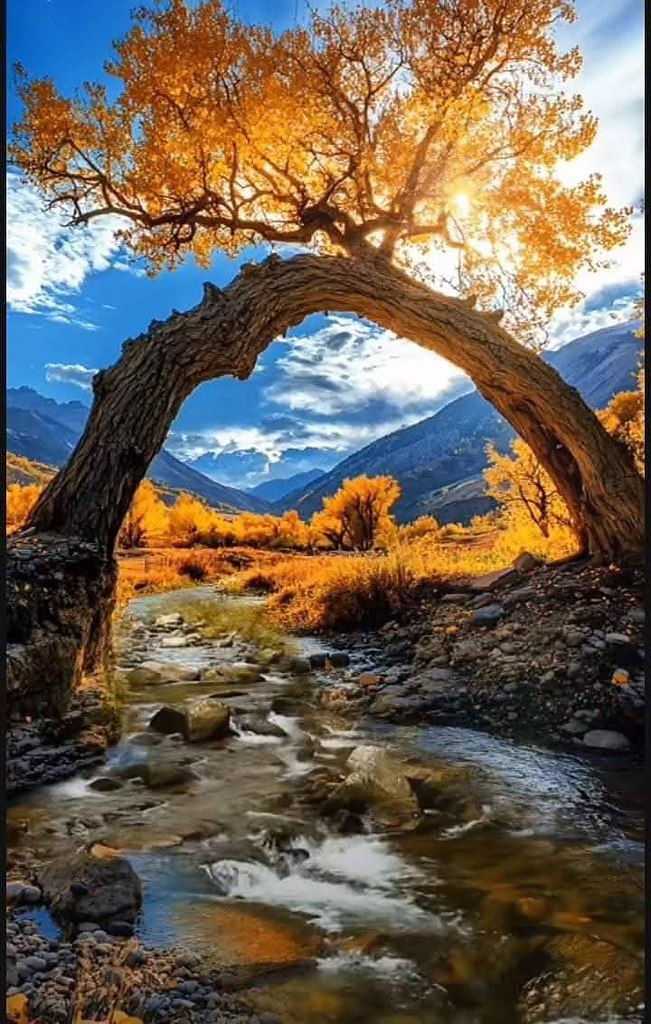 :)   ..     ..     ,    ... - 2