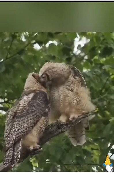 �� �� �, �� �� � ����� )).��� �������� - 5