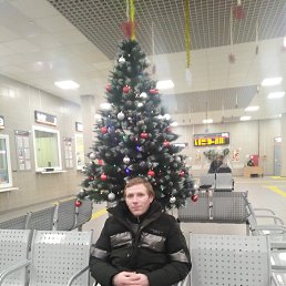 ������, 41 ���, ������