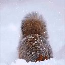 ���� �����, ������, 31 ��� - ��������� 24 ������ 2026 � ������ ������ ��������
