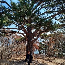 �����*, �����������