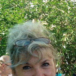 , 66, 