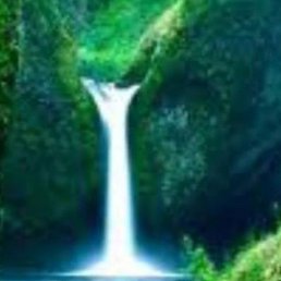 �����, �������, 42 ����