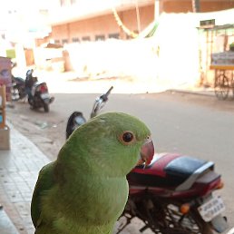 Jgfgu, ����, 24 ����