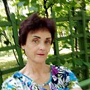 ���� ���������, �����-���������, 66 ��� - ��������� 20 ���� 2025 � ������ ���� ����������