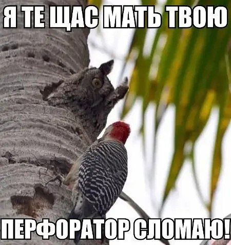  - 17  2024  13:42