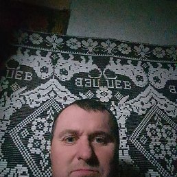 ������, �����, 41 ���