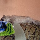 ���� ������, ����������� - ��������� 29 ������� 2024 � ������ ���� �����!�