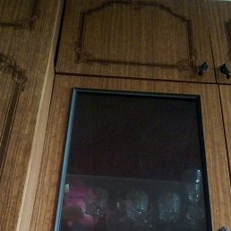 , 43, 