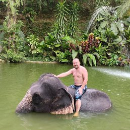 ���������, ��������, 47 ���