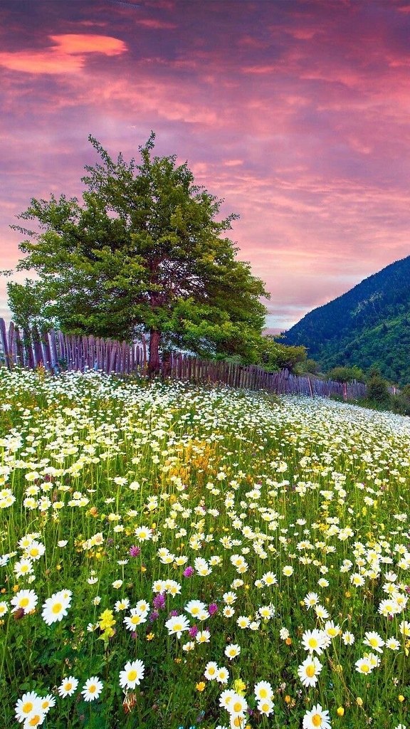 Подарки своими руками - 3 марта 2024 в 21:27