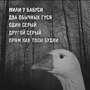 ���� Vladimir, ������, 44 ���� - ��������� 6 ���� 2026