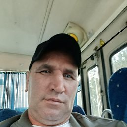 ����, 41 ���, ������