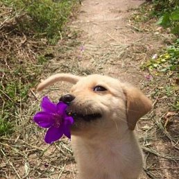 ���� ����, ������, 21 ��� - ��������� 19 ������� 2026