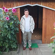 ���������, 66 ���, ������