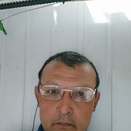 , 55, 