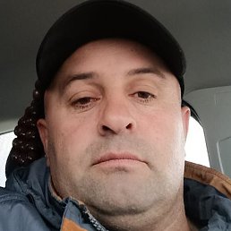 ������, ������, 43 ����