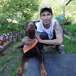 ������, 51 ���, ������