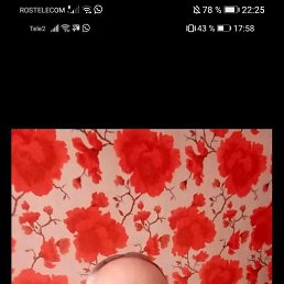 ������, 49 ���, ���������