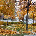 ���� ������, ���������, 64 ���� - ��������� 5 ������ 2025 � ������ ���� ����������
