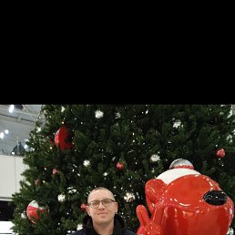 ����, 38 ���, ���������