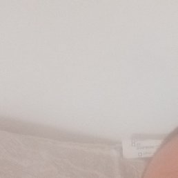 ����, �������, 20 ���