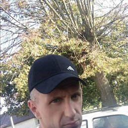 , 37, 