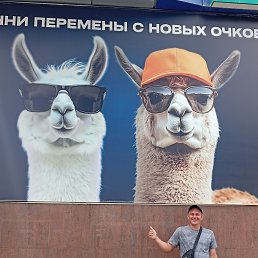 ����, 29 ���, ������